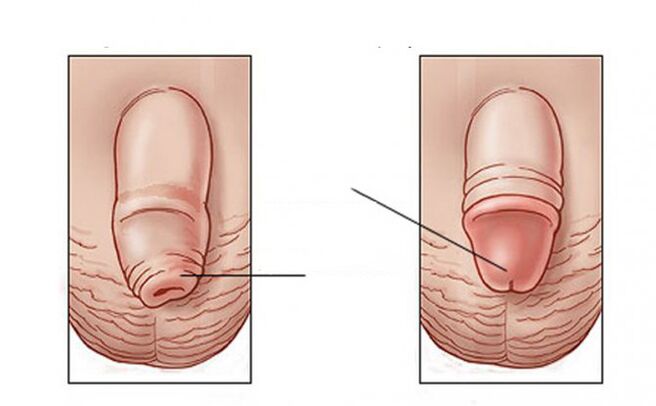 ¿Qué tareas realiza el lubricante