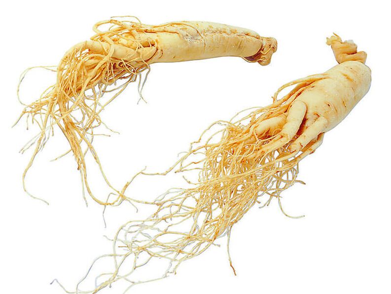 Beneficios de la raíz de ginseng